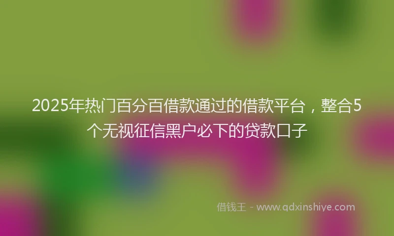 2025年热门百分百借款通过的借款平台，整合5个无视征信黑户必下的贷款口子