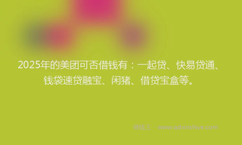 2025年的美团可否借钱有：一起贷、快易贷通、钱袋速贷融宝、闲猪、借贷宝盒等。