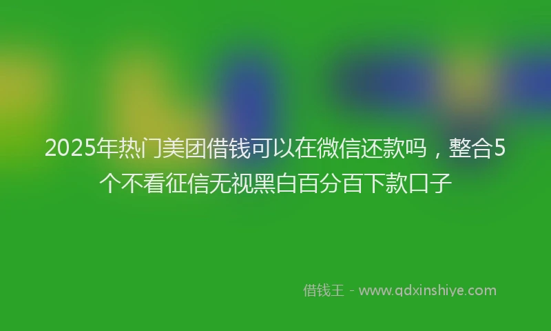 2025年热门美团借钱可以在微信还款吗，整合5个不看征信无视黑白百分百下款口子