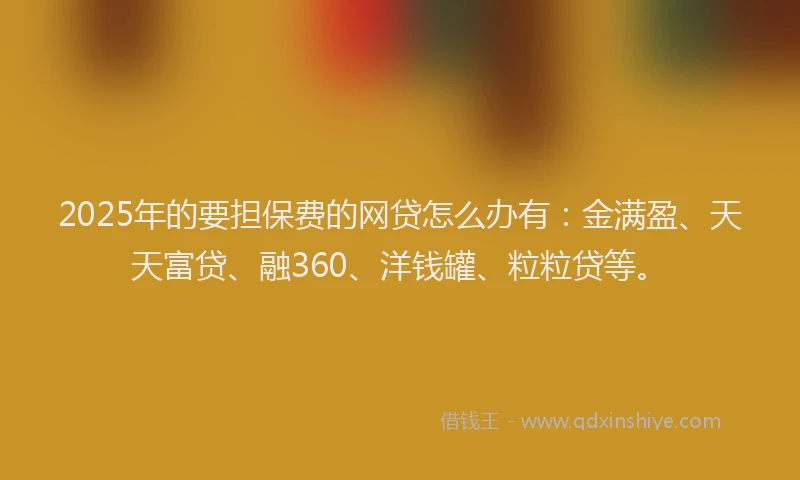 2025年的要担保费的网贷怎么办有：金满盈、天天富贷、融360、洋钱罐、粒粒贷等。