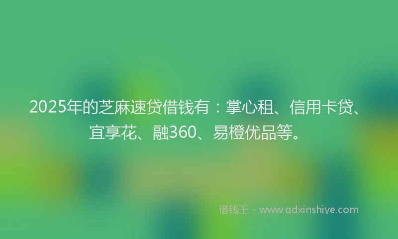 2025年的芝麻速贷借钱有：掌心租、信用卡贷、宜享花、融360、易橙优品等。