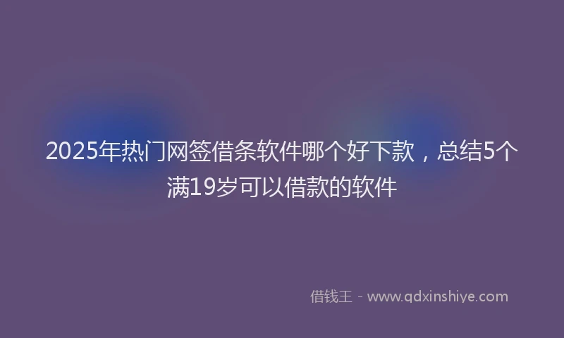 2025年热门网签借条软件哪个好下款，总结5个满19岁可以借款的软件