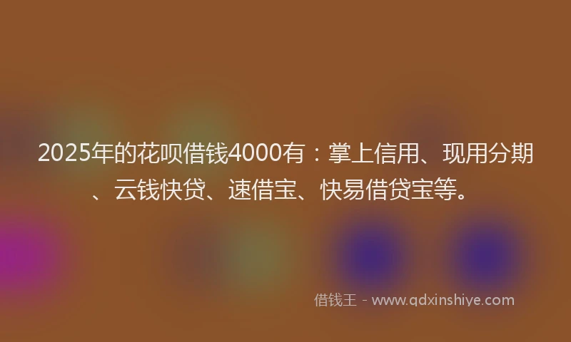 2025年的花呗借钱4000有：掌上信用、现用分期、云钱快贷、速借宝、快易借贷宝等。