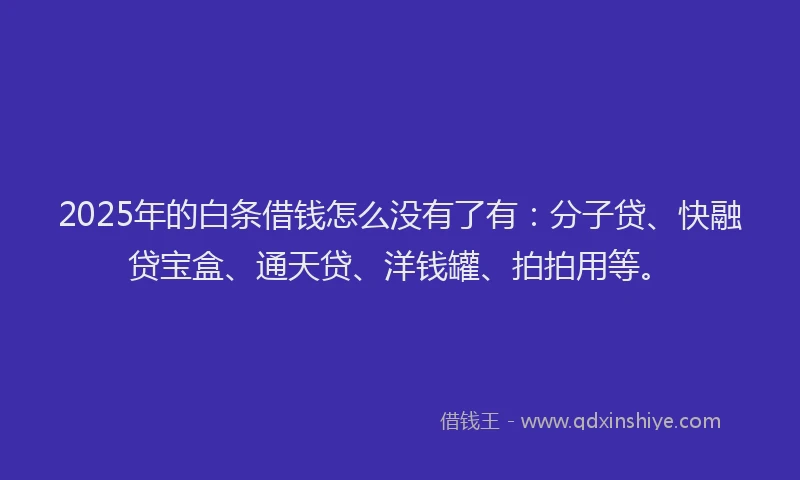 2025年的白条借钱怎么没有了有：分子贷、快融贷宝盒、通天贷、洋钱罐、拍拍用等。