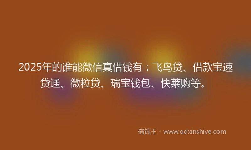 2025年的谁能微信真借钱有：飞鸟贷、借款宝速贷通、微粒贷、瑞宝钱包、快莱购等。