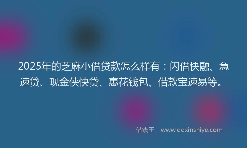 2025年的芝麻小借贷款怎么样有：闪借快融、急速贷、现金侠快贷、惠花钱包、借款宝速易等。
