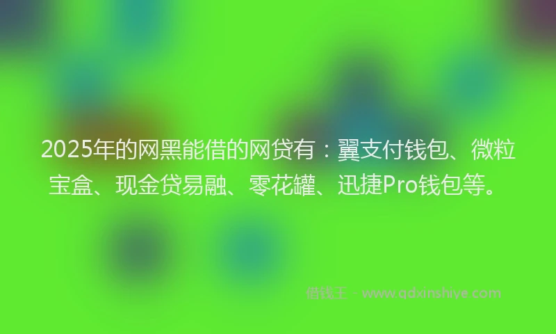 2025年的网黑能借的网贷有：翼支付钱包、微粒宝盒、现金贷易融、零花罐、迅捷Pro钱包等。