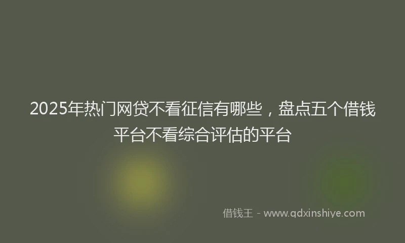 2025年热门网贷不看征信有哪些，盘点五个借钱平台不看综合评估的平台