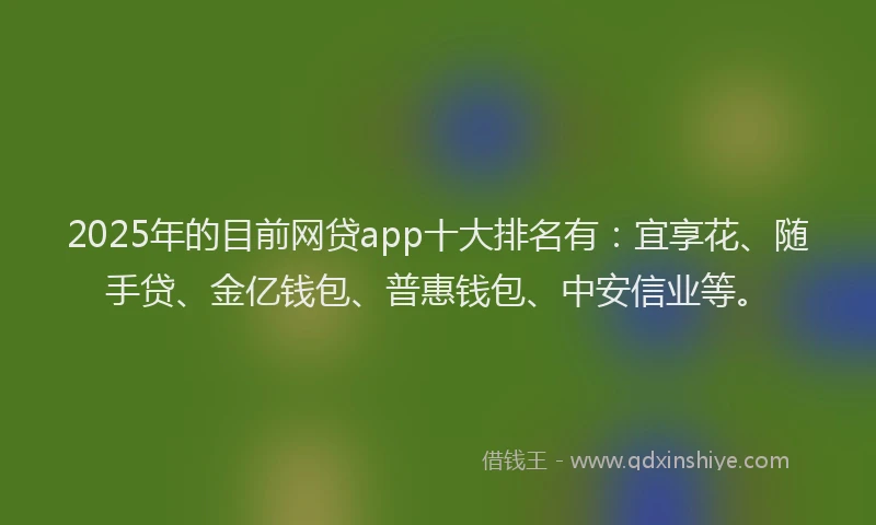 2025年的目前网贷app十大排名有：宜享花、随手贷、金亿钱包、普惠钱包、中安信业等。