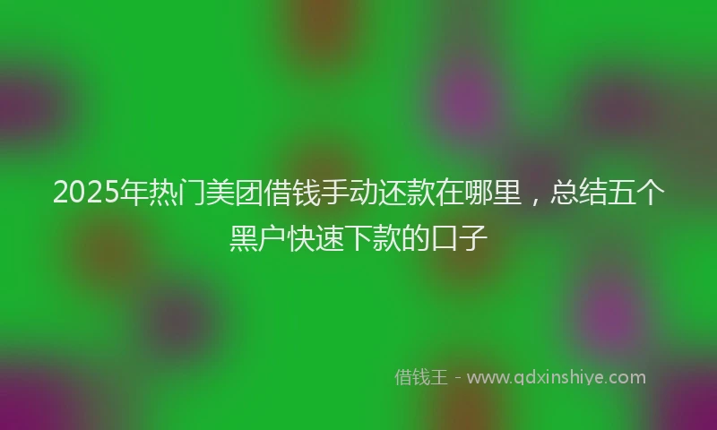 2025年热门美团借钱手动还款在哪里，总结五个黑户快速下款的口子