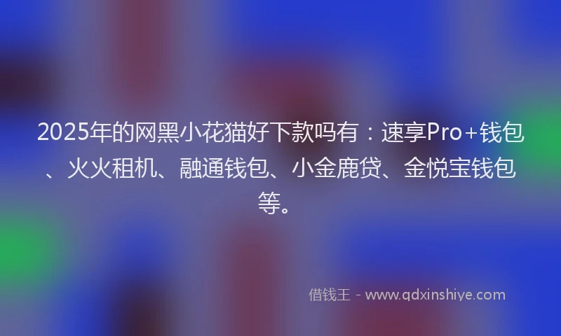 2025年的网黑小花猫好下款吗有：速享Pro+钱包、火火租机、融通钱包、小金鹿贷、金悦宝钱包等。