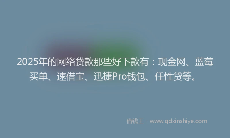 2025年的网络贷款那些好下款有：现金网、蓝莓买单、速借宝、迅捷Pro钱包、任性贷等。