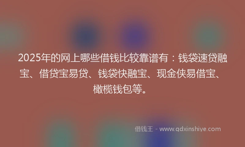 2025年的网上哪些借钱比较靠谱有：钱袋速贷融宝、借贷宝易贷、钱袋快融宝、现金侠易借宝、橄榄钱包等。