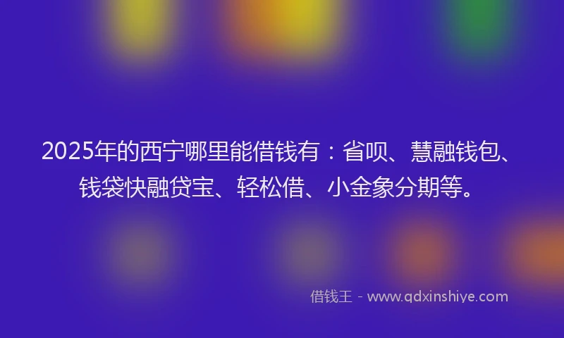 2025年的西宁哪里能借钱有：省呗、慧融钱包、钱袋快融贷宝、轻松借、小金象分期等。