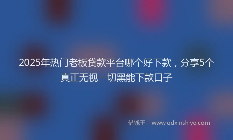2025年热门老板贷款平台哪个好下款，分享5个真正无视一切黑能下款口子
