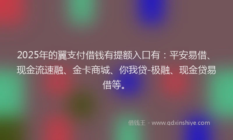 2025年的翼支付借钱有提额入口有：平安易借、现金流速融、金卡商城、你我贷-极融、现金贷易借等。