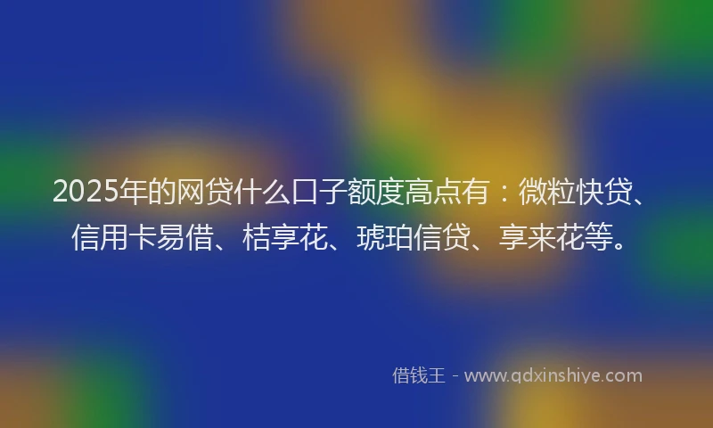 2025年的网贷什么口子额度高点有：微粒快贷、信用卡易借、桔享花、琥珀信贷、享来花等。