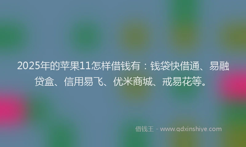 2025年的苹果11怎样借钱有：钱袋快借通、易融贷盒、信用易飞、优米商城、戒易花等。