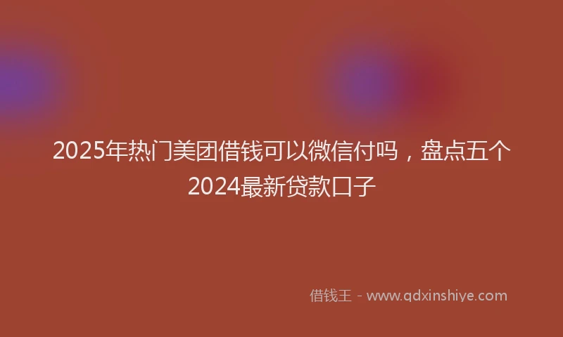 2025年热门美团借钱可以微信付吗，盘点五个2024最新贷款口子