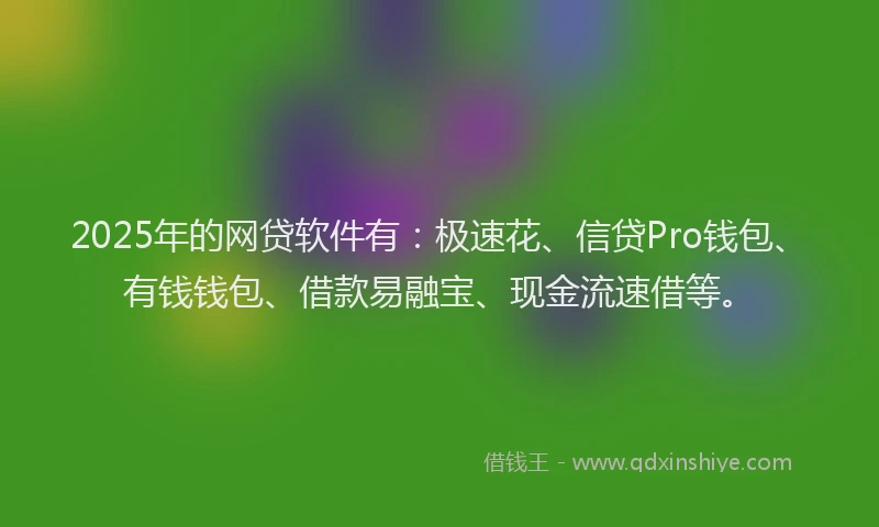 2025年的网贷软件有：极速花、信贷Pro钱包、有钱钱包、借款易融宝、现金流速借等。