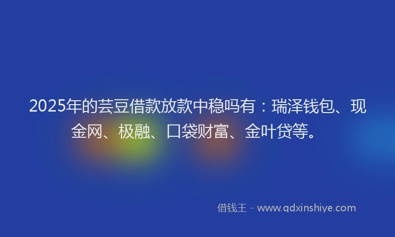2025年的芸豆借款放款中稳吗有：瑞泽钱包、现金网、极融、口袋财富、金叶贷等。