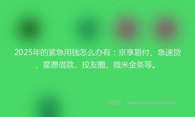 2025年的紧急用钱怎么办有：京享易付、急速贷、星愿借款、投友圈、微米金条等。