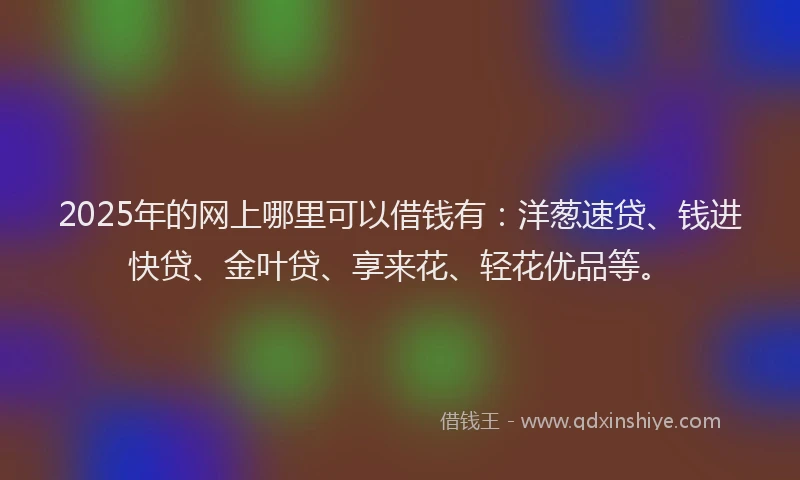 2025年的网上哪里可以借钱有：洋葱速贷、钱进快贷、金叶贷、享来花、轻花优品等。