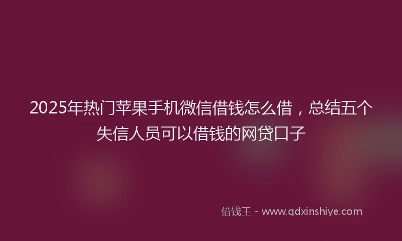 2025年热门苹果手机微信借钱怎么借，总结五个失信人员可以借钱的网贷口子