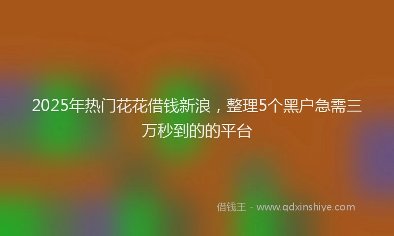 2025年热门花花借钱新浪，整理5个黑户急需三万秒到的的平台