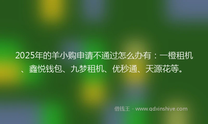 2025年的羊小购申请不通过怎么办有：一橙租机、鑫悦钱包、九梦租机、优秒通、天源花等。