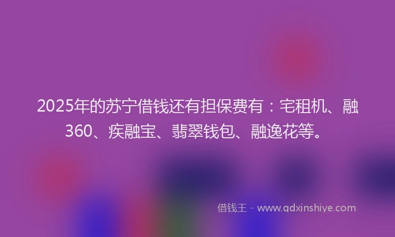 2025年的苏宁借钱还有担保费有：宅租机、融360、疾融宝、翡翠钱包、融逸花等。