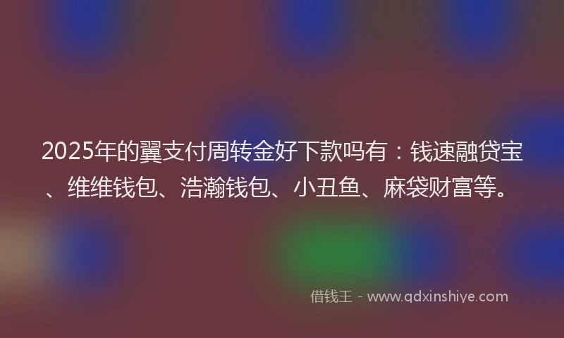 2025年的翼支付周转金好下款吗有：钱速融贷宝、维维钱包、浩瀚钱包、小丑鱼、麻袋财富等。