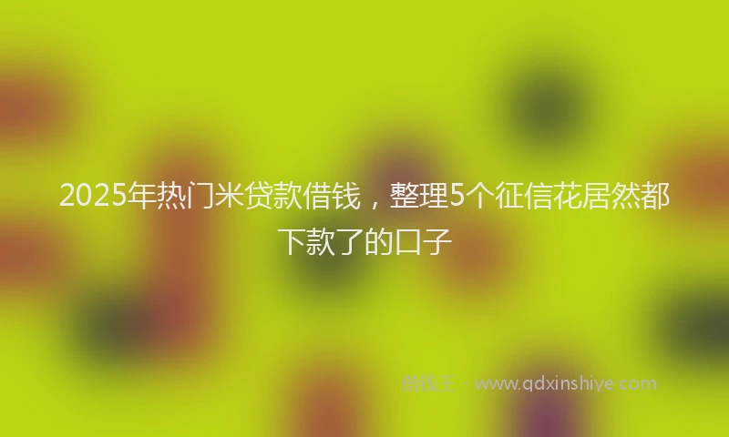 2025年热门米贷款借钱，整理5个征信花居然都下款了的口子