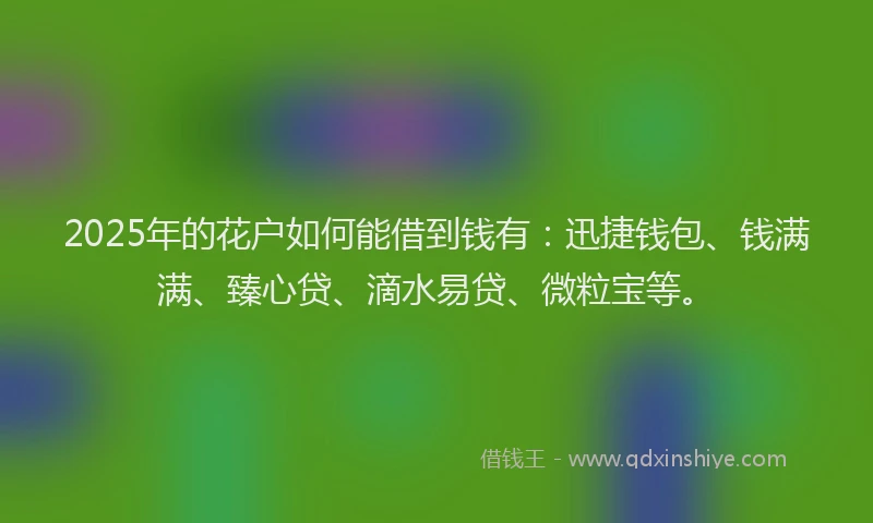 2025年的花户如何能借到钱有：迅捷钱包、钱满满、臻心贷、滴水易贷、微粒宝等。
