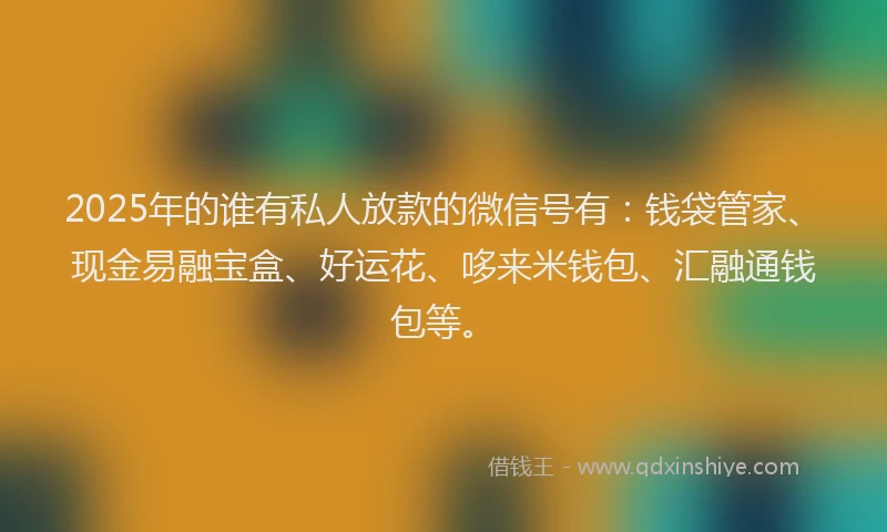 2025年的谁有私人放款的微信号有：钱袋管家、现金易融宝盒、好运花、哆来米钱包、汇融通钱包等。