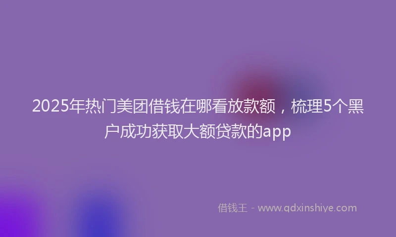 2025年热门美团借钱在哪看放款额，梳理5个黑户成功获取大额贷款的app