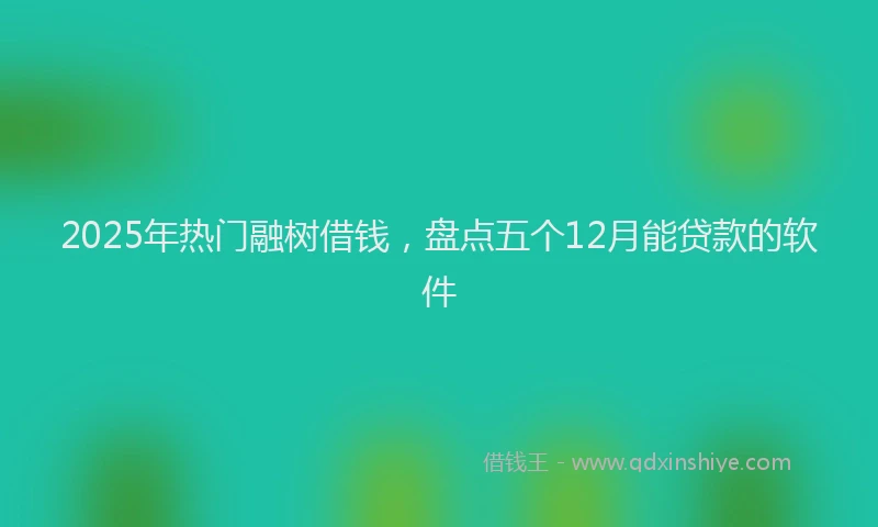 2025年热门融树借钱，盘点五个12月能贷款的软件