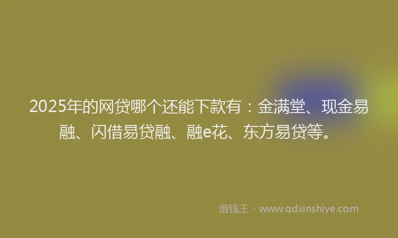 2025年的网贷哪个还能下款有：金满堂、现金易融、闪借易贷融、融e花、东方易贷等。