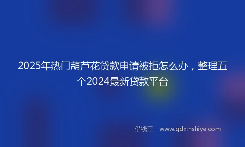 2025年热门葫芦花贷款申请被拒怎么办，整理五个2024最新贷款平台