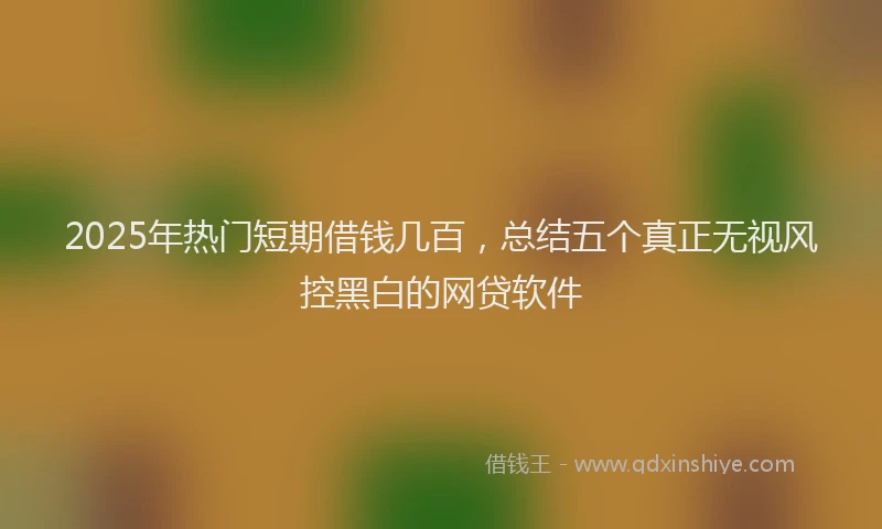 2025年热门短期借钱几百，总结五个真正无视风控黑白的网贷软件