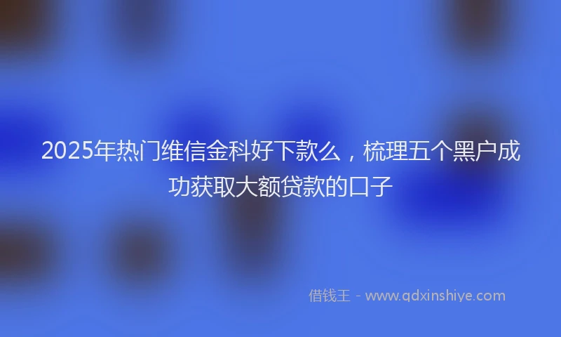2025年热门维信金科好下款么，梳理五个黑户成功获取大额贷款的口子