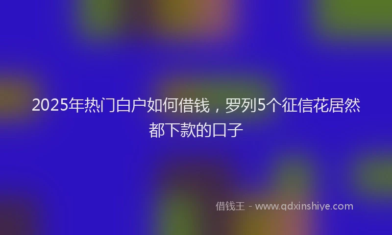 2025年热门白户如何借钱，罗列5个征信花居然都下款的口子