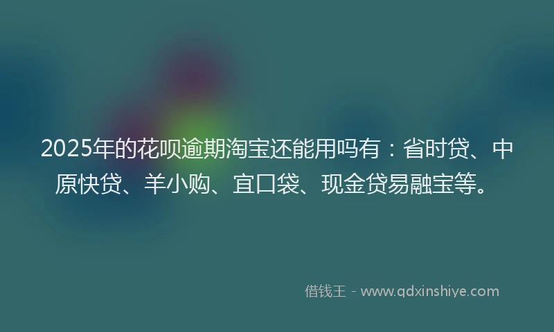 2025年的花呗逾期淘宝还能用吗有：省时贷、中原快贷、羊小购、宜口袋、现金贷易融宝等。