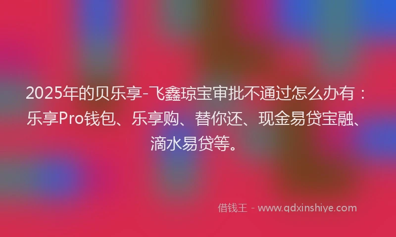 2025年的贝乐享-飞鑫琼宝审批不通过怎么办有：乐享Pro钱包、乐享购、替你还、现金易贷宝融、滴水易贷等。