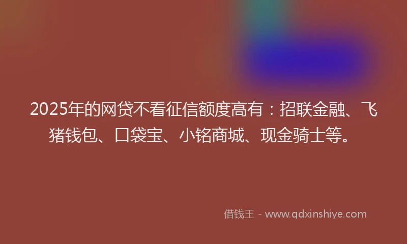 2025年的网贷不看征信额度高有：招联金融、飞猪钱包、口袋宝、小铭商城、现金骑士等。