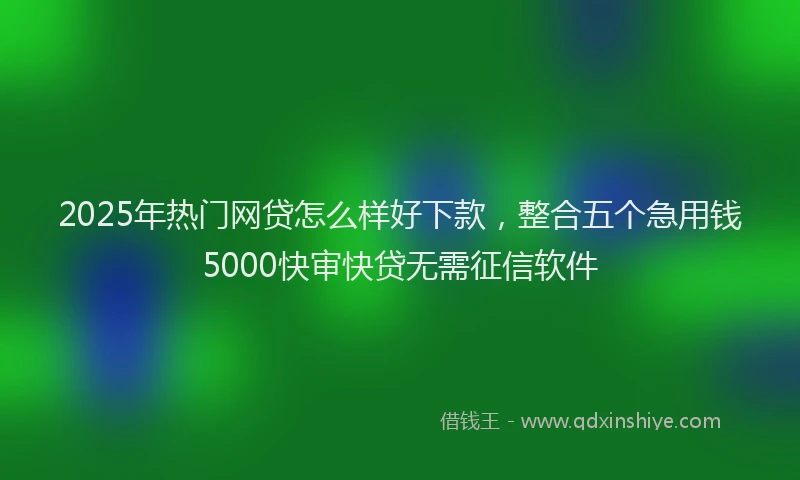 2025年热门网贷怎么样好下款，整合五个急用钱5000快审快贷无需征信软件