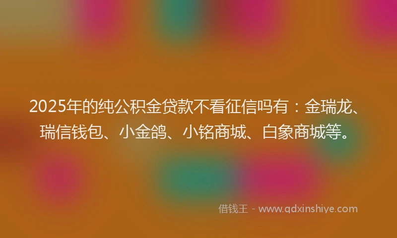 2025年的纯公积金贷款不看征信吗有：金瑞龙、瑞信钱包、小金鸽、小铭商城、白象商城等。