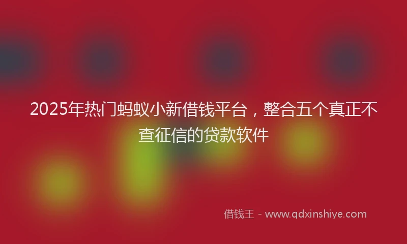 2025年热门蚂蚁小新借钱平台，整合五个真正不查征信的贷款软件