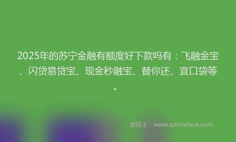 2025年的苏宁金融有额度好下款吗有：飞融金宝、闪贷易贷宝、现金秒融宝、替你还、宜口袋等。