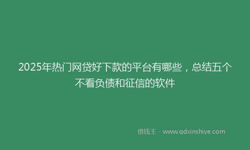 2025年热门网贷好下款的平台有哪些，总结五个不看负债和征信的软件